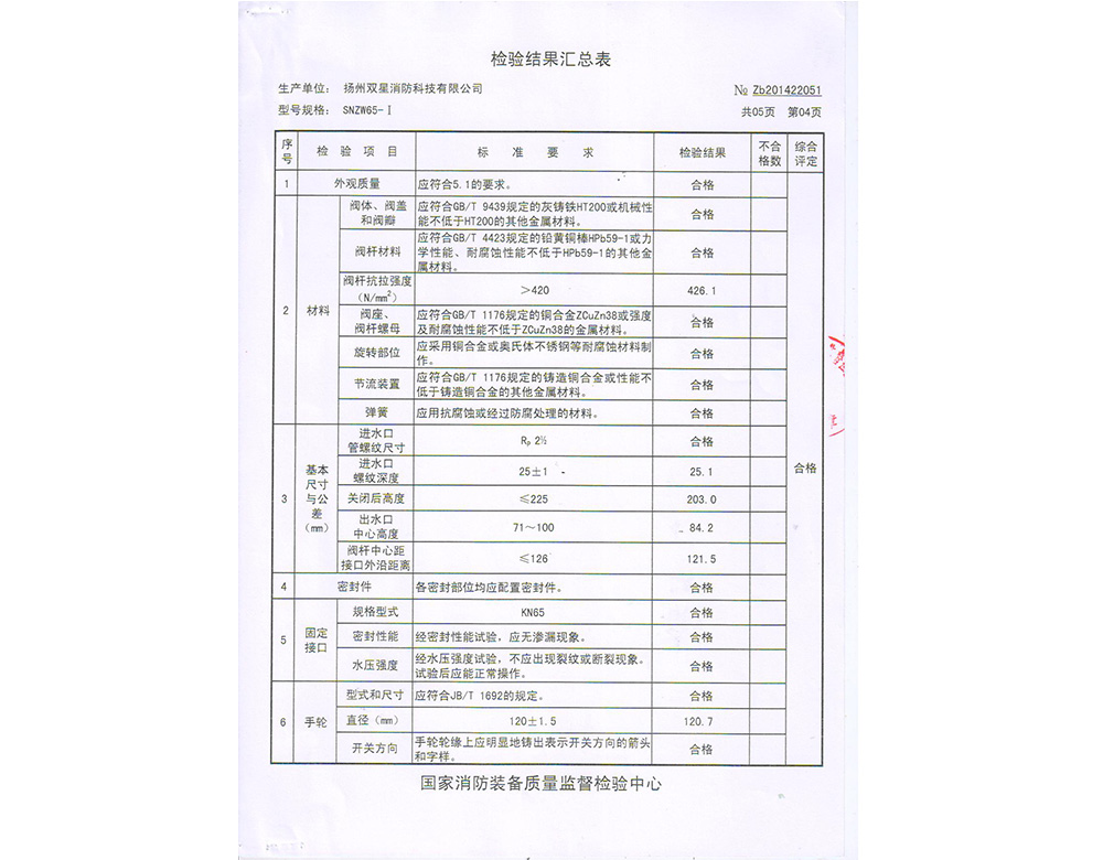 通天河SNZW65-1-004